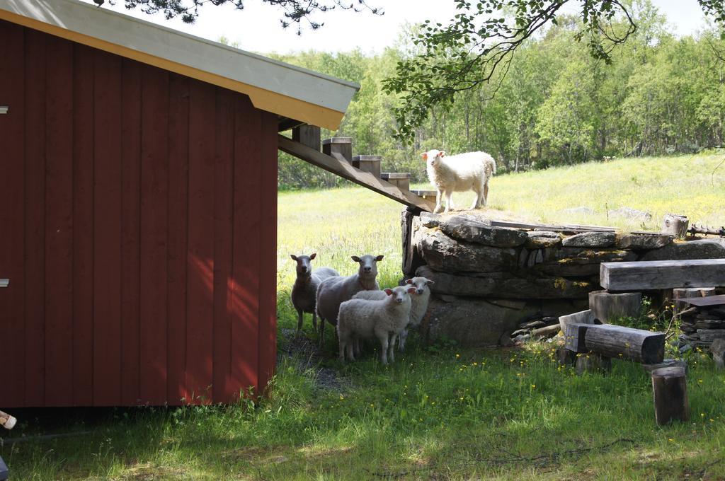 Bustad Hyttetun Skåbu Buitenkant foto